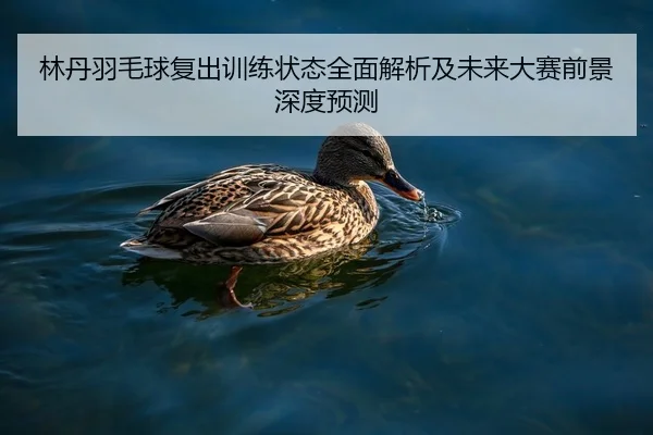 林丹羽毛球复出训练状态全面解析及未来大赛前景深度预测
